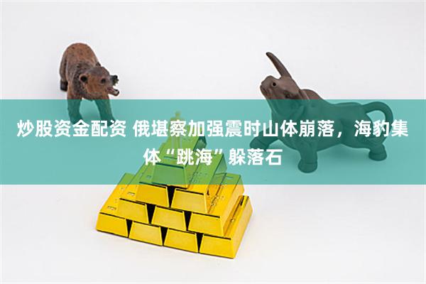 炒股资金配资 俄堪察加强震时山体崩落，海豹集体“跳海”躲落石