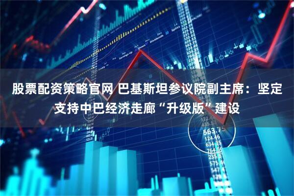 股票配资策略官网 巴基斯坦参议院副主席：坚定支持中巴经济走廊“升级版”建设
